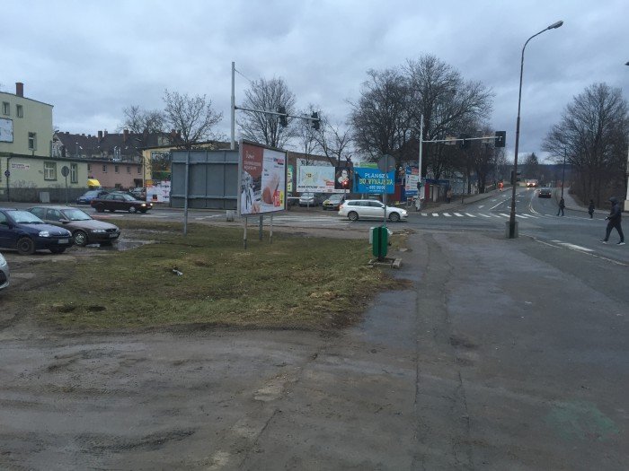 czy-mieszkancy-sprzataja-po-swoich-psach-foto-67493