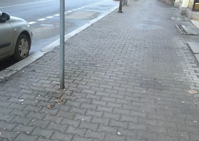 czy-mieszkancy-sprzataja-po-swoich-psach-foto-67493
