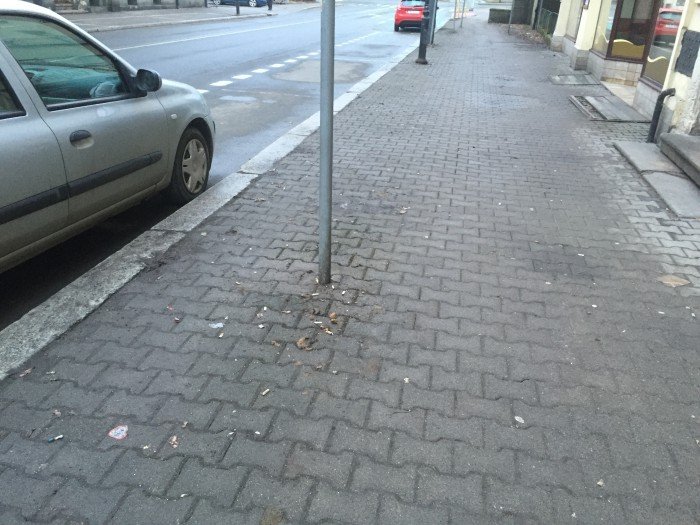 czy-mieszkancy-sprzataja-po-swoich-psach-foto-67493