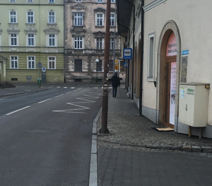 czy-mieszkancy-sprzataja-po-swoich-psach-foto-67493
