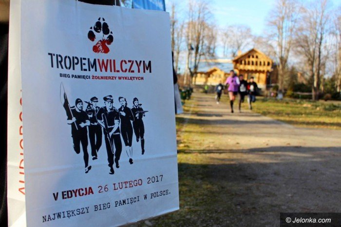pobiegli-wilczym-tropem-foto-67523