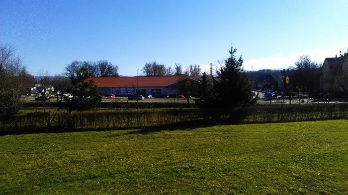 mieszkancy-zablokowali-wycinke-foto-67549