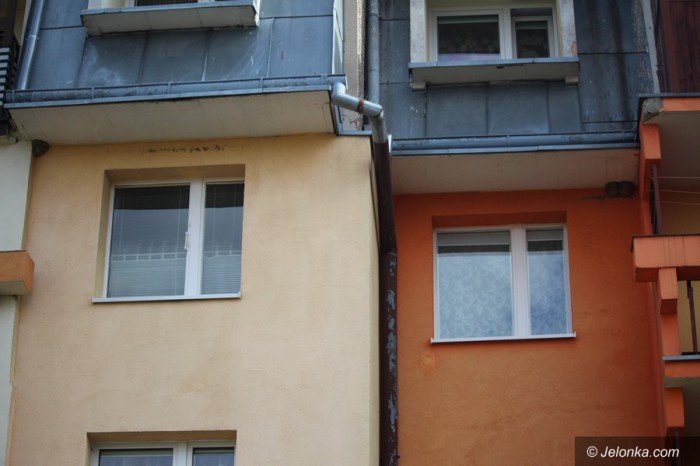 sasiedzki-spor-o-gniazda-dymowek-foto-67628