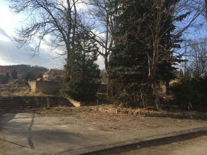 bezpatne-sterylizacje-w-miescie-wolno-zyjacych-kotow-foto-67783
