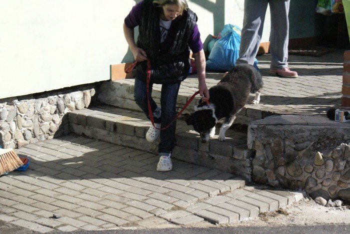 staruszkowo-juz-zmuszone-do-przeprowadzki-foto-67835