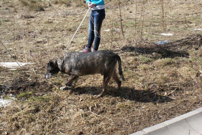 staruszkowo-juz-zmuszone-do-przeprowadzki-foto-67835