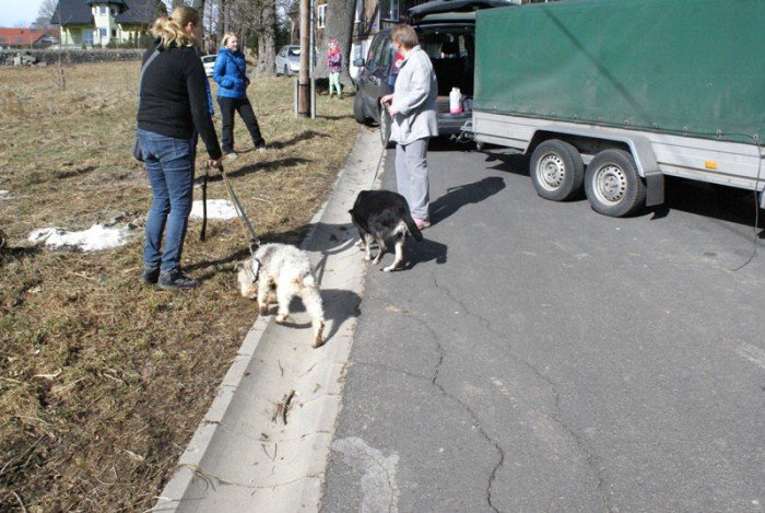 staruszkowo-juz-zmuszone-do-przeprowadzki-foto-67835
