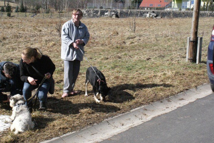 staruszkowo-juz-zmuszone-do-przeprowadzki-foto-67835
