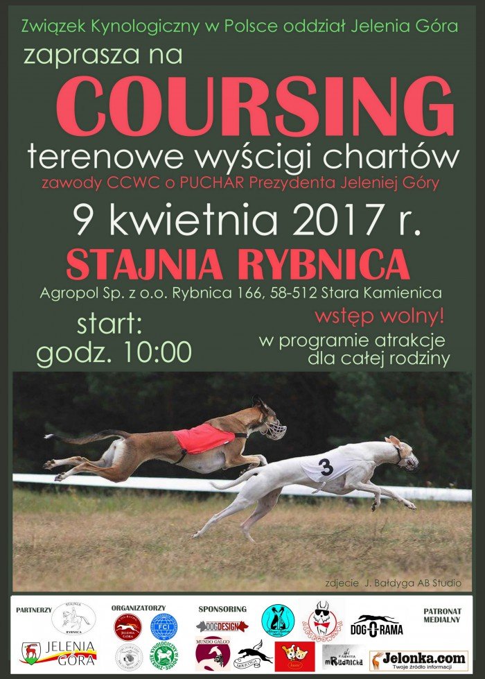 terenowe-wyscigi-chartow-wkrotce-w-rybnicy-foto-67990