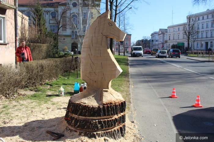 szachowy-kon-budzi-zainteresowanie-foto-67992