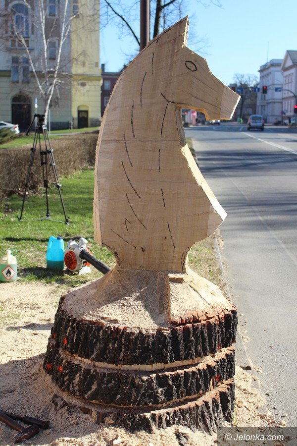 szachowy-kon-budzi-zainteresowanie-foto-67992