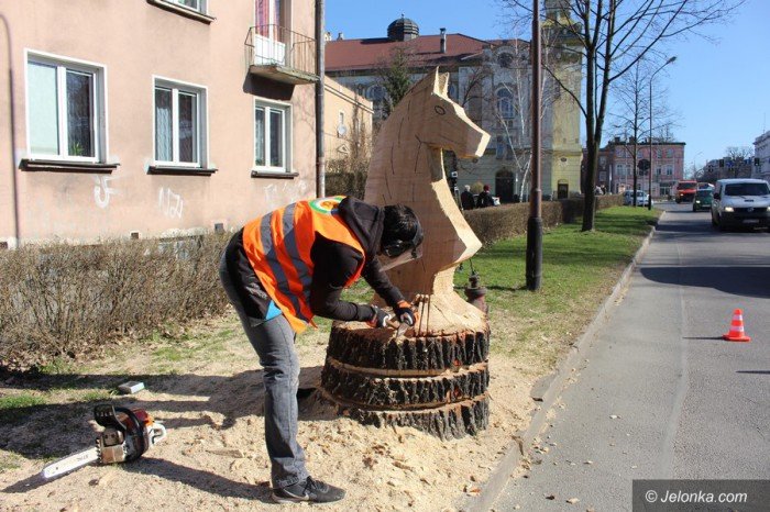 szachowy-kon-budzi-zainteresowanie-foto-67992