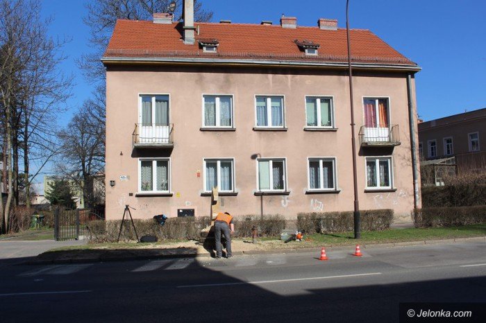 szachowy-kon-budzi-zainteresowanie-foto-67992