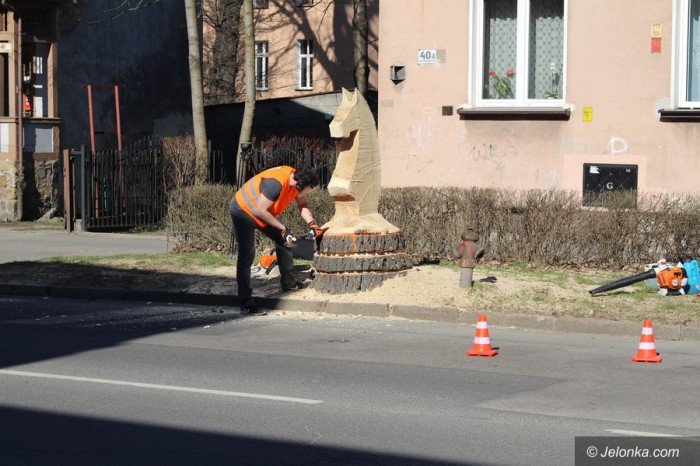 szachowy-kon-budzi-zainteresowanie-foto-67992