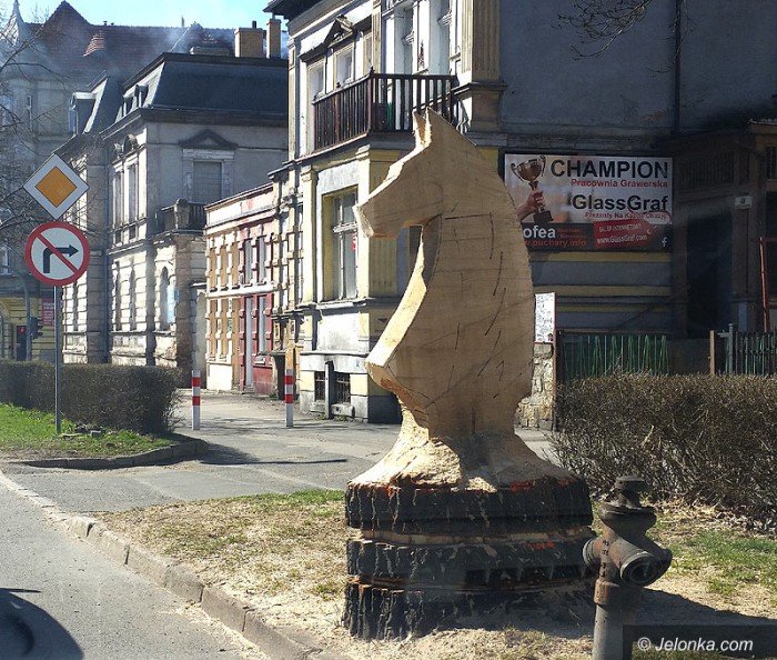 szachowy-kon-budzi-zainteresowanie-foto-67992