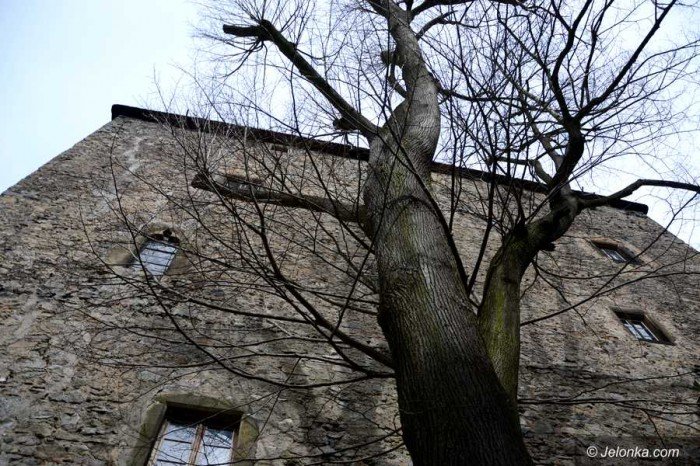 praktyki-i-wymiana-ale-tez-zwiedzanie-foto-68074