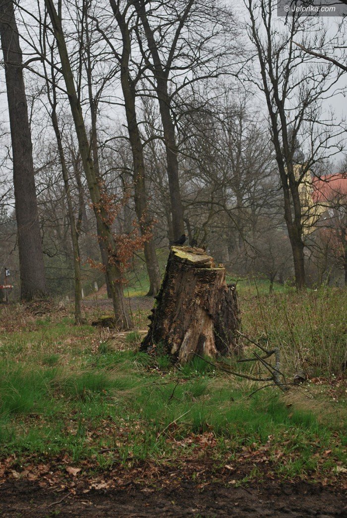 rozpocza-sie-remont-dachu-kaplicy-w-maciejowej-foto-68131