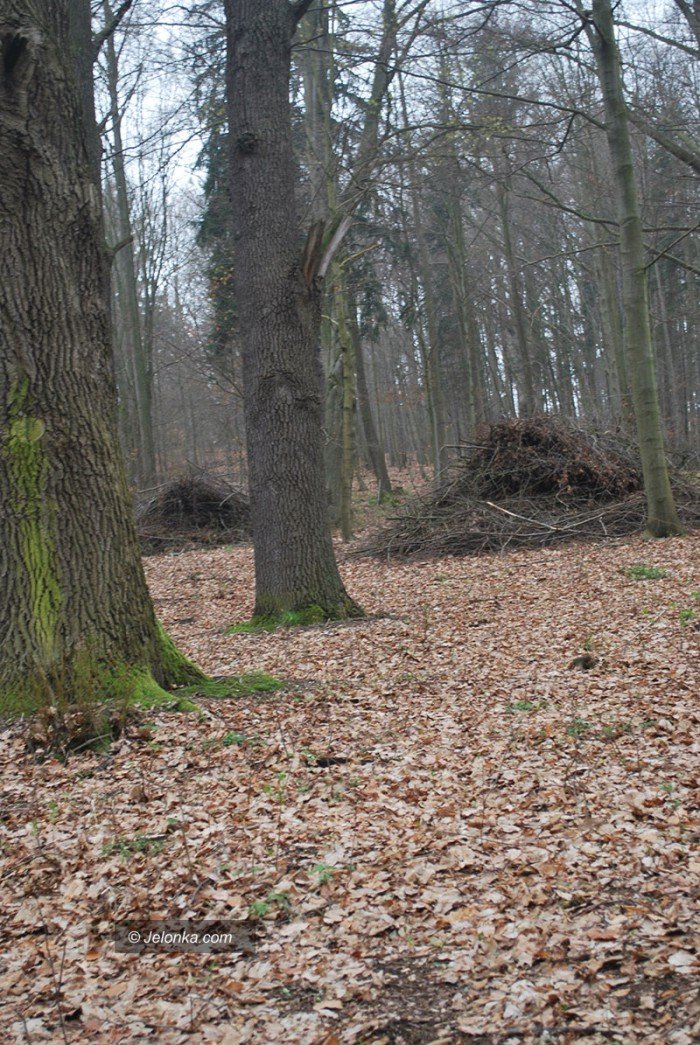 rozpocza-sie-remont-dachu-kaplicy-w-maciejowej-foto-68131