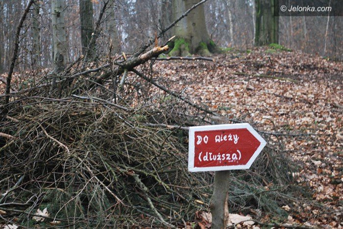 rozpocza-sie-remont-dachu-kaplicy-w-maciejowej-foto-68131