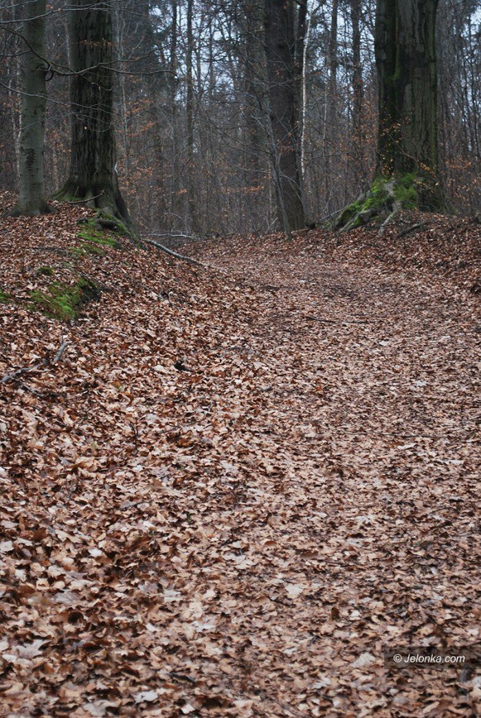 rozpocza-sie-remont-dachu-kaplicy-w-maciejowej-foto-68131