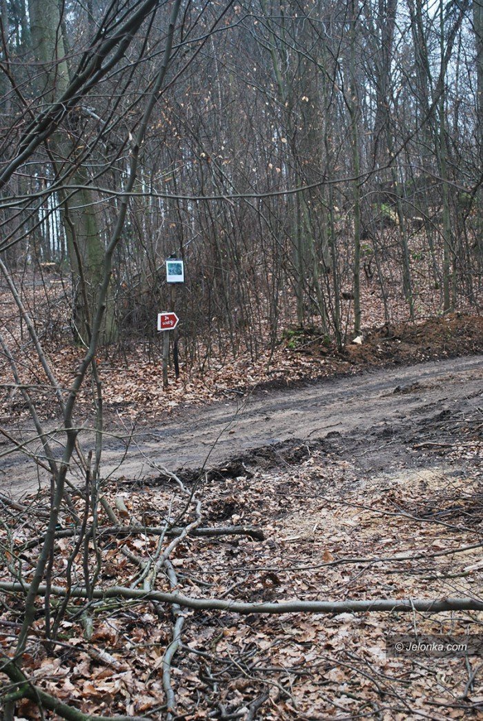 rozpocza-sie-remont-dachu-kaplicy-w-maciejowej-foto-68131