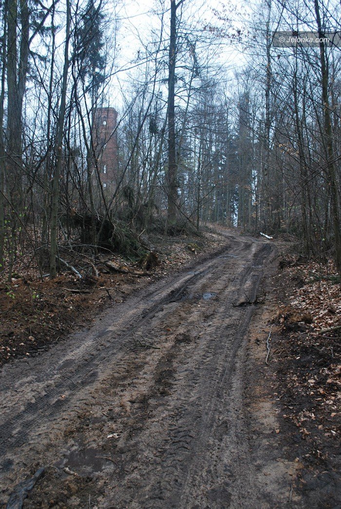 rozpocza-sie-remont-dachu-kaplicy-w-maciejowej-foto-68131