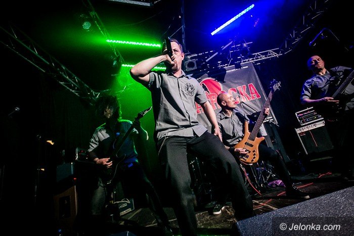 liga-rocka-spoznili-sie-i-wygrali-foto-68185