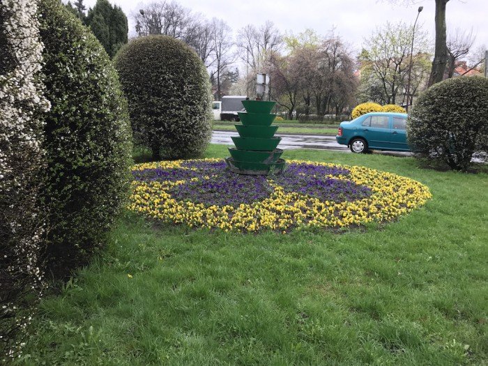 miasto-zakwita-tysiacami-kwiatow-foto-68217