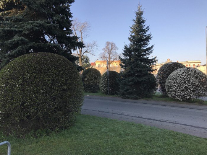 miasto-zakwita-tysiacami-kwiatow-foto-68217
