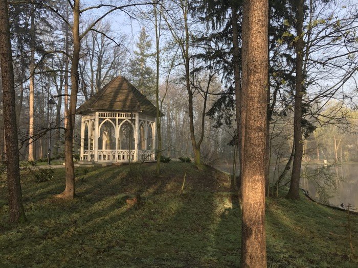 miasto-zakwita-tysiacami-kwiatow-foto-68217