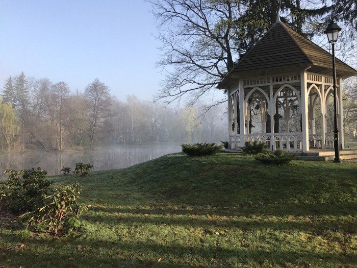 miasto-zakwita-tysiacami-kwiatow-foto-68217