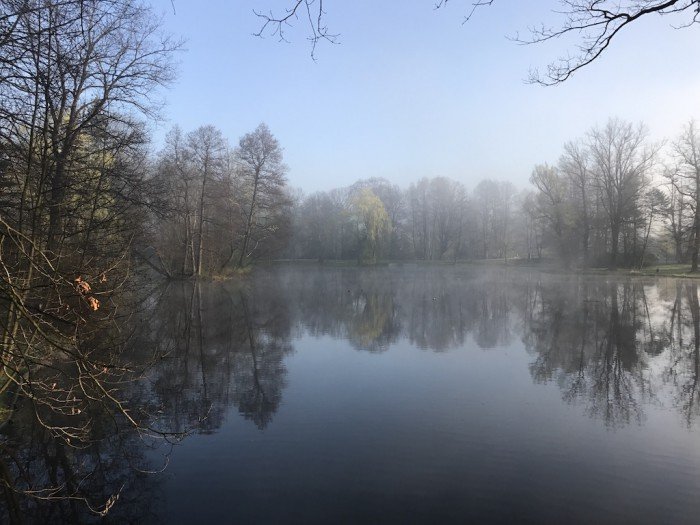 miasto-zakwita-tysiacami-kwiatow-foto-68217