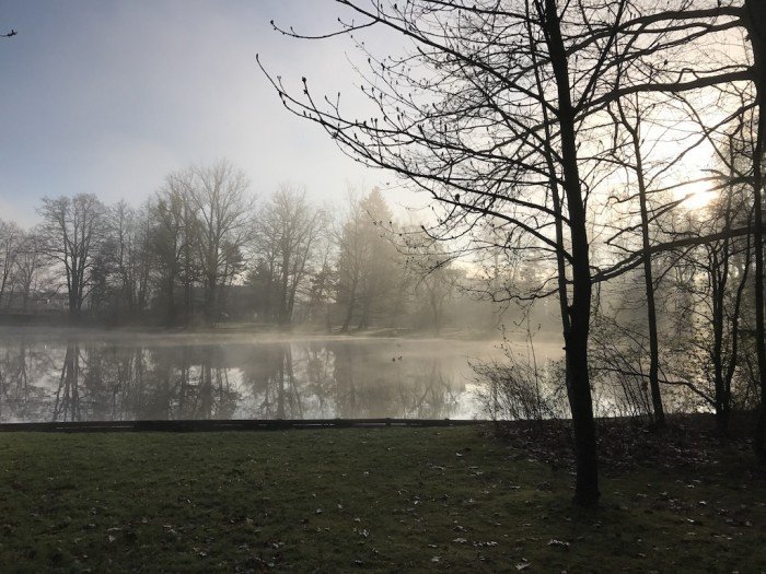 miasto-zakwita-tysiacami-kwiatow-foto-68217