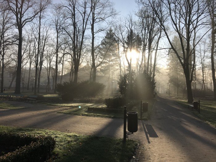 miasto-zakwita-tysiacami-kwiatow-foto-68217