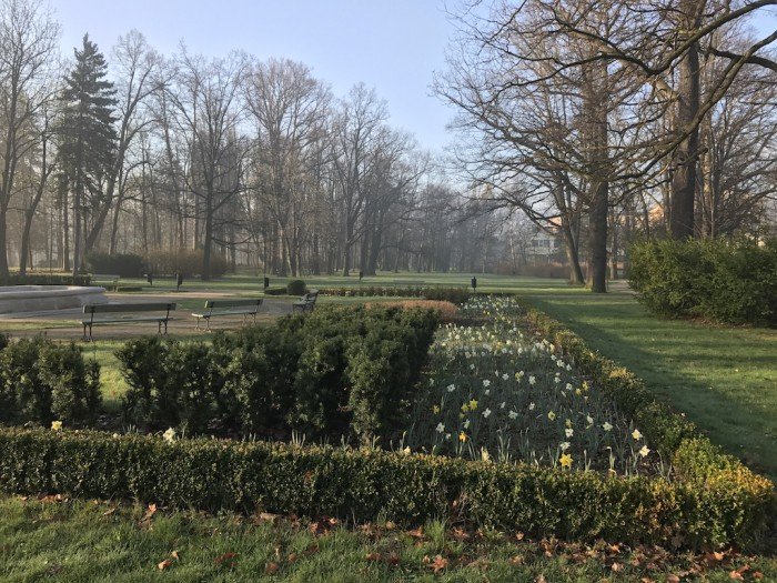 miasto-zakwita-tysiacami-kwiatow-foto-68217