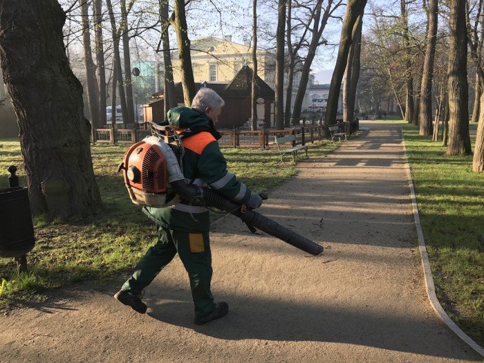 miasto-zakwita-tysiacami-kwiatow-foto-68217