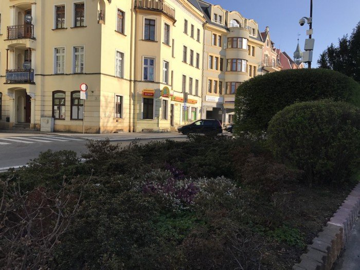 miasto-zakwita-tysiacami-kwiatow-foto-68217