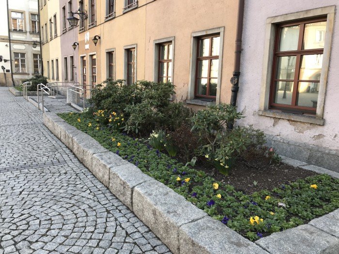 miasto-zakwita-tysiacami-kwiatow-foto-68217
