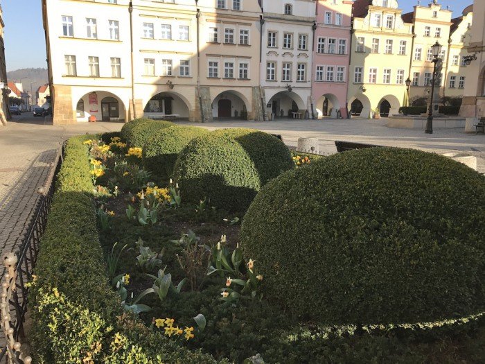 miasto-zakwita-tysiacami-kwiatow-foto-68217