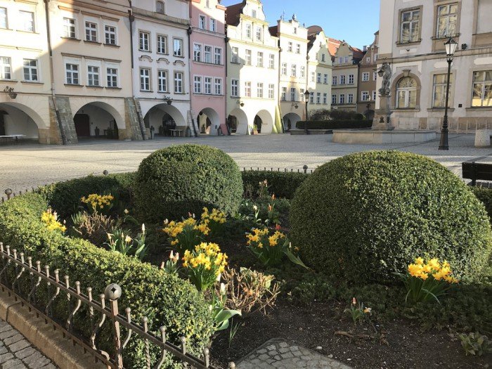 miasto-zakwita-tysiacami-kwiatow-foto-68217