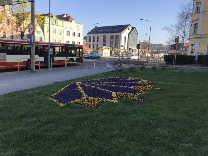 miasto-zakwita-tysiacami-kwiatow-foto-68217