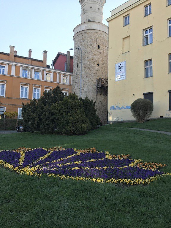 miasto-zakwita-tysiacami-kwiatow-foto-68217