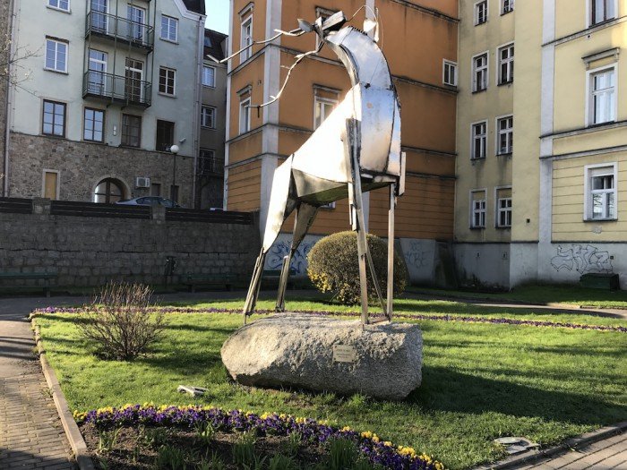 miasto-zakwita-tysiacami-kwiatow-foto-68217