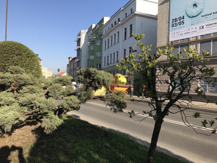miasto-zakwita-tysiacami-kwiatow-foto-68217