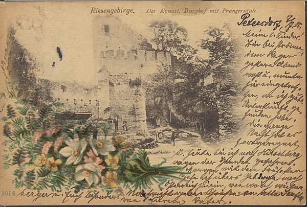Widokówka wysłana z Piechowic (Petersdorf) w 1905 roku: na obrazku ruiny Chojniastego.