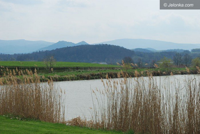 swiecone-w-dziwiszowie-foto-68298