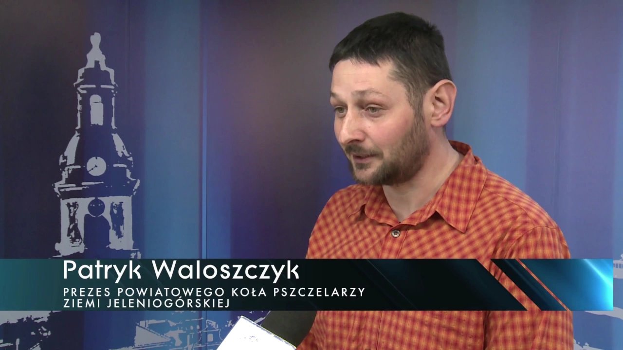 masowe-wymieranie-pszczo-w-karkonoszach-video-68355