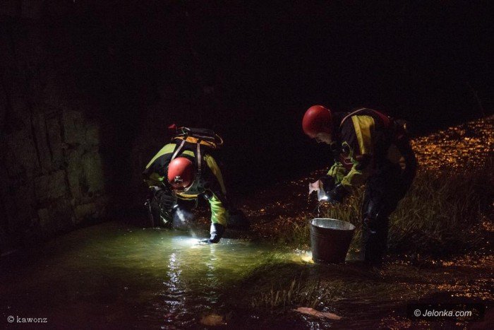 w-poscigu-ranni-policjanci-rozbite-radiowozy-aktualizacja-foto-68365