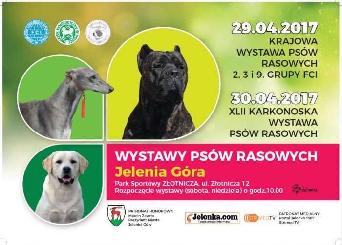 pokaz-psich-pieknosci-do-niedzieli-aktualizacja-68390