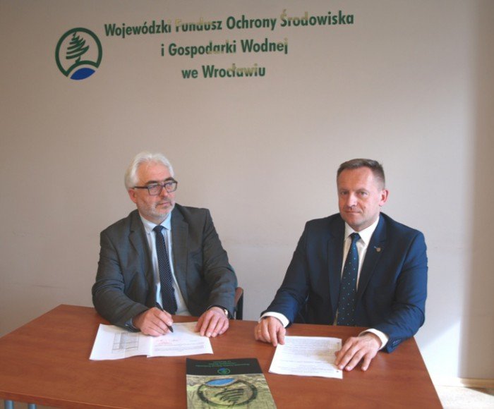 owce-na-wypasie-w-karkonoskim-parku-narodowym-68392
